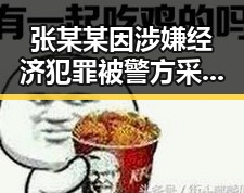 张某某因涉嫌经济犯罪被警方采取强制措施