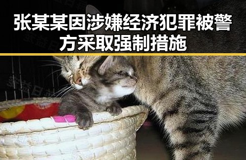 张某某因涉嫌经济犯罪被警方采取强制措施