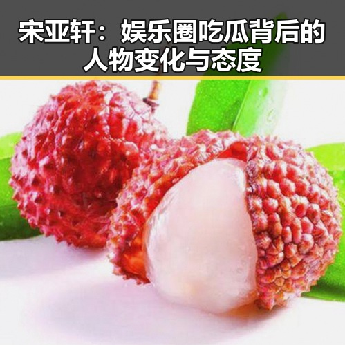 宋亚轩：娱乐圈吃瓜背后的人物变化与态度