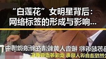 “白莲花”女明星背后：网络标签的形成与影响解析