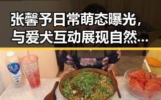张馨予日常萌态曝光，与爱犬互动展现自然一面