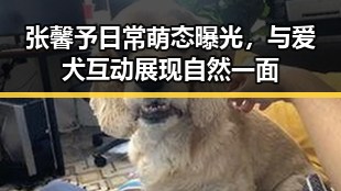 张馨予日常萌态曝光，与爱犬互动展现自然一面